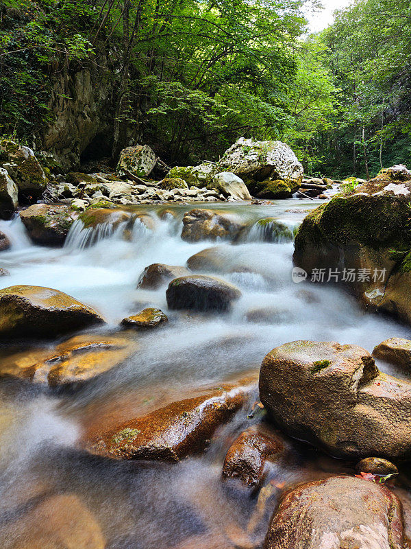 从长满青苔的岩石中流过的长长的山涧