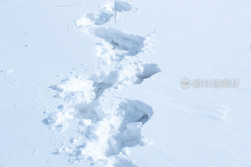 初雪中的脚印