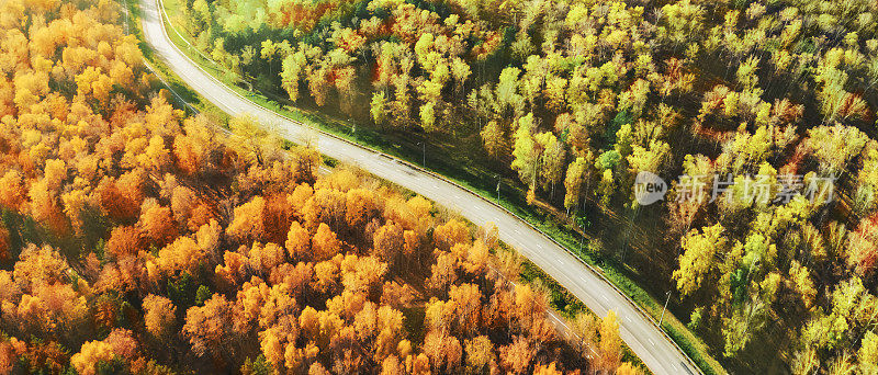 这条路横穿秋夏森林，分为两部分。季节的变化。秋季景观航拍全景图