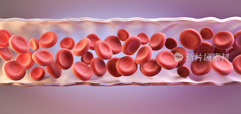 动脉中的红细胞，血流，医疗人类保健概念背景，3d渲染。