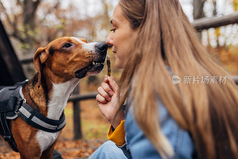 这只狗一边闻着主人的气味，一边从主人手里拿食物