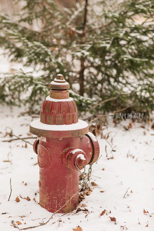 2022年12月，俄亥俄州奇利科特雪天的雪红色消防栓