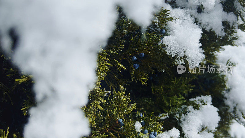 在美国西部的灌木景观的冬季积雪的观点系列照片