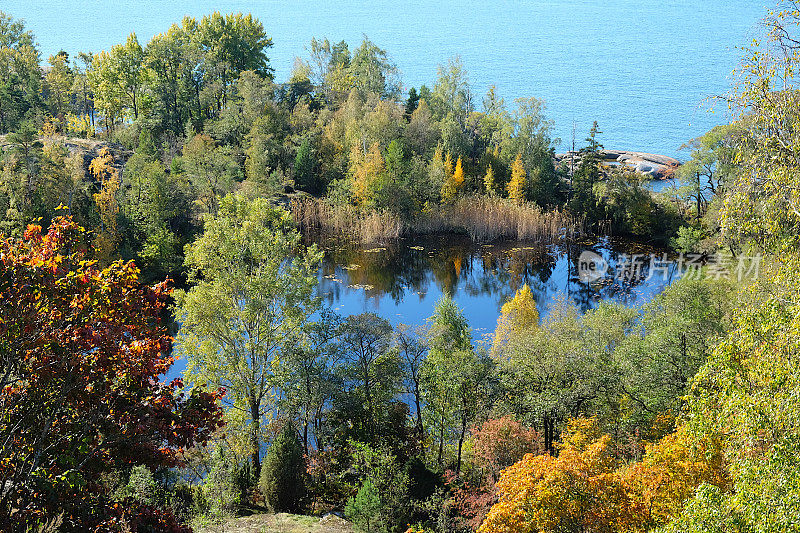 Vallisaari，赫尔辛基双年展2021，俯瞰池塘，周围是秋天颜色的树木，背景是大海