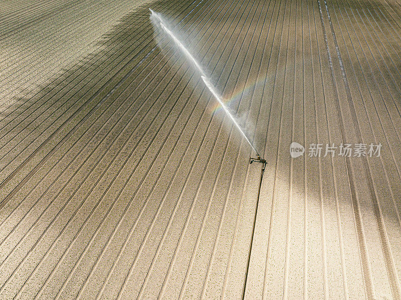 在一个干燥温暖的春日里，喷灌机在田间喷水。