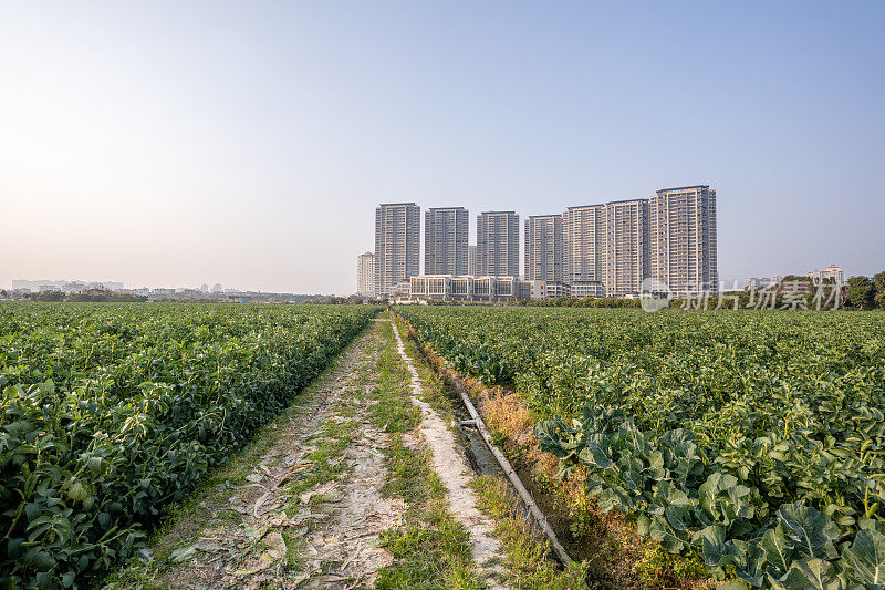 城郊的农业种植用地