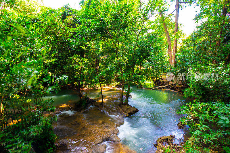 梯级河中绿树翠绿的热带雨林水