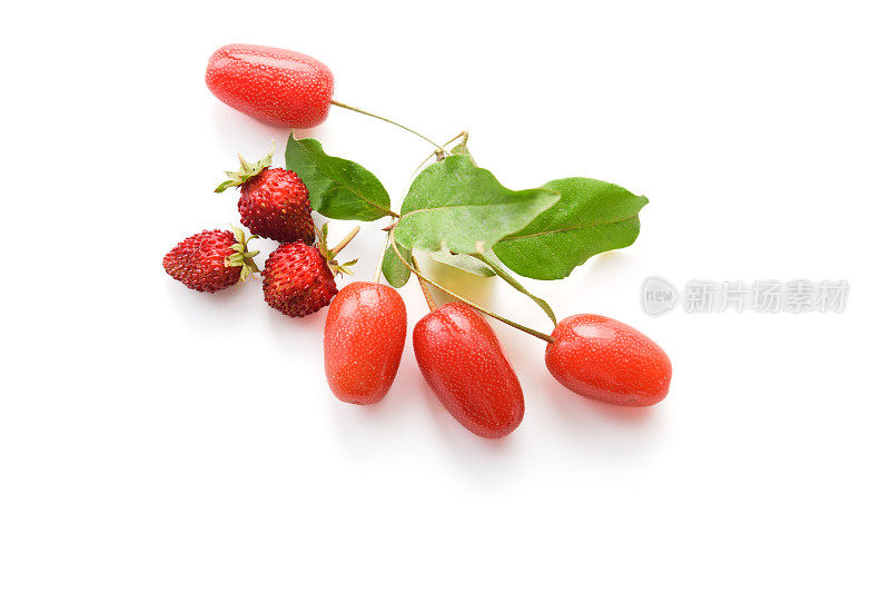 银浆果和野草莓