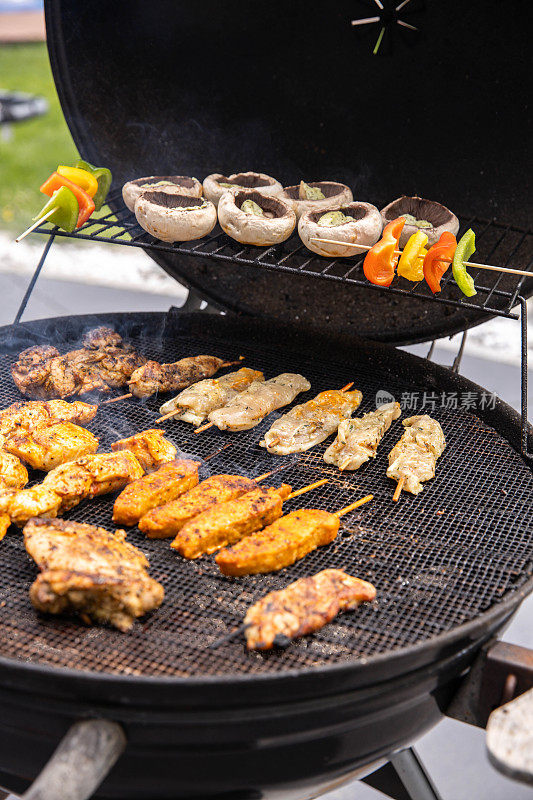 在游园会上用煤烤架烧烤肉、香肠和蔬菜