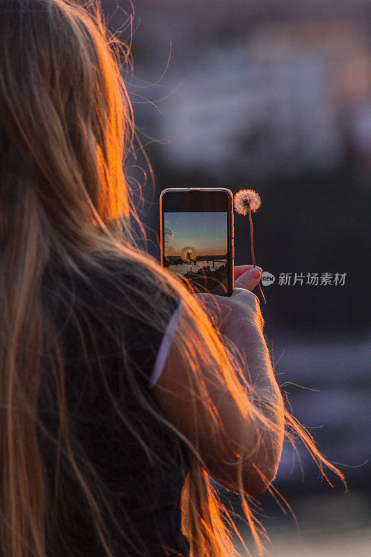 年轻女子在夕阳下拍摄蒲公英剪影，背景是城市建筑