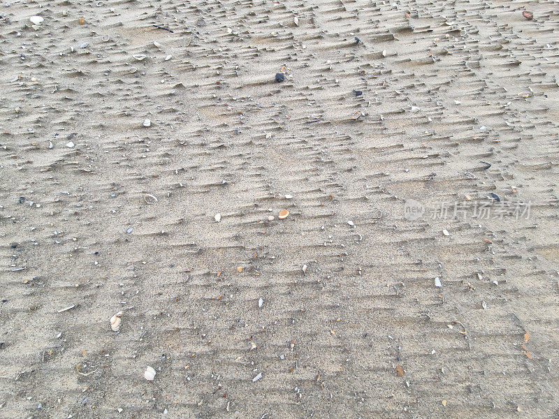 冬天海风吹过的北海海滩——海风在沙滩上形成了贝壳、草或芦苇的长条图案