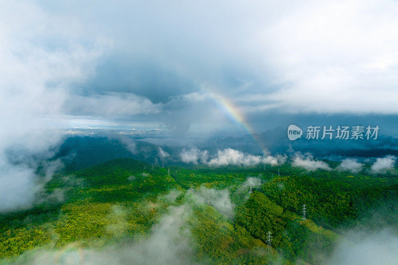 鸟瞰图暴风雨过后，森林上空出现了美丽的彩虹。