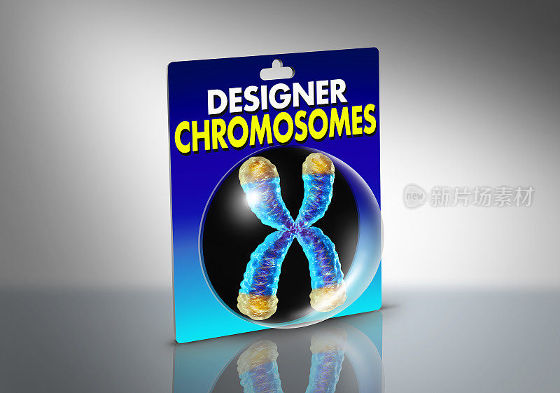 设计师染色体