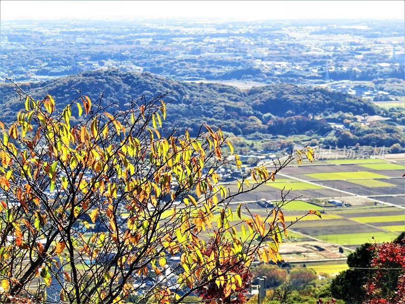 日本。11月。筑波山全景。