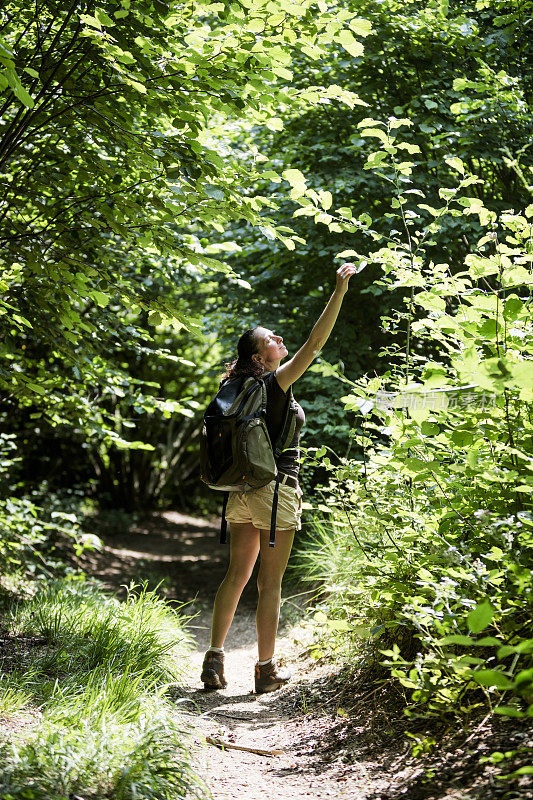 森林里的徒步旅行者