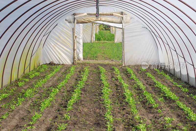 有机Biofarm温室