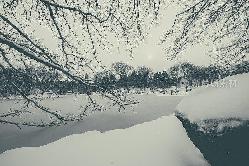 纽约雪中央公园