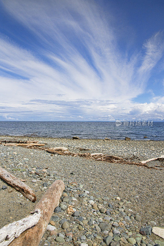 金海滩天空和浮木在温哥华岛