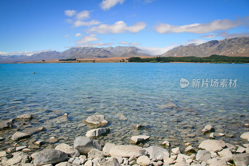 夏天的新西兰特卡波湖