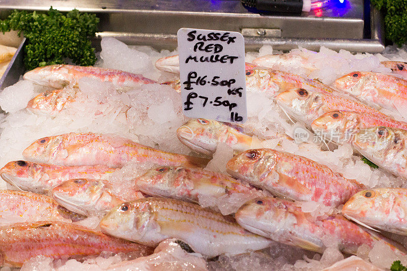 伦敦博罗市场的苏塞克斯红鲻鱼