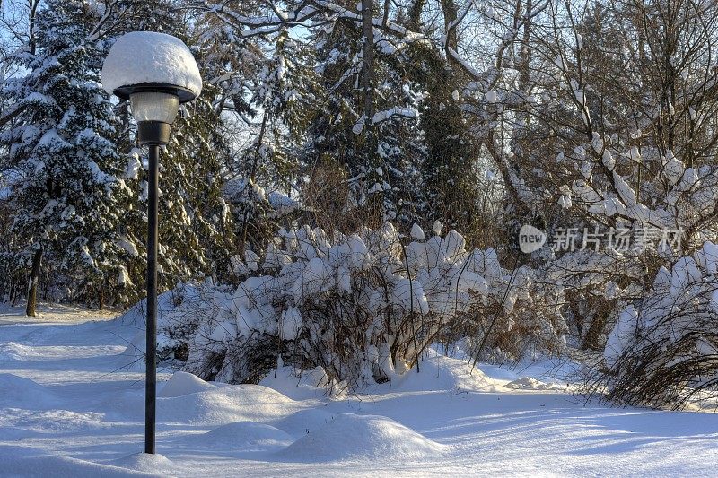 公园里的冰雪景观