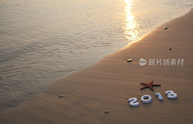 2013年的新年