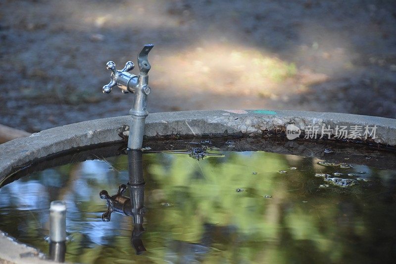 自动饮水器