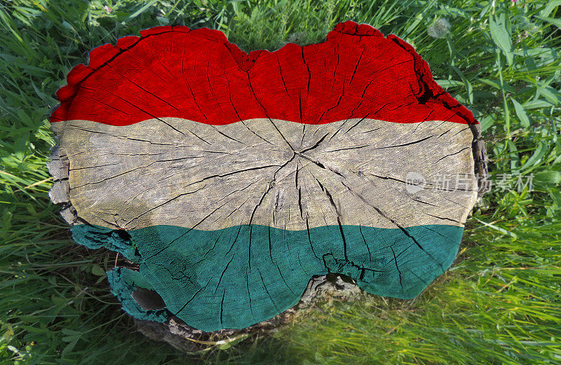 画在树桩上的卢森堡国旗