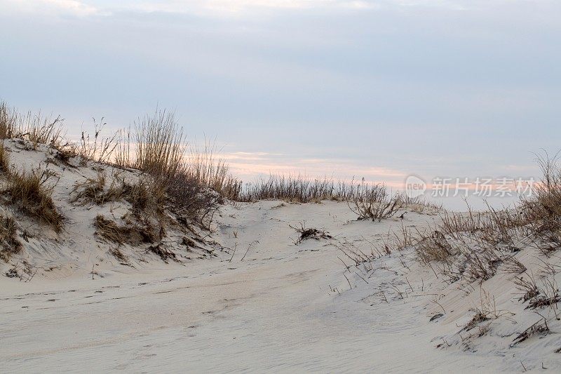 大西洋海滩沙丘拍摄于日落附近