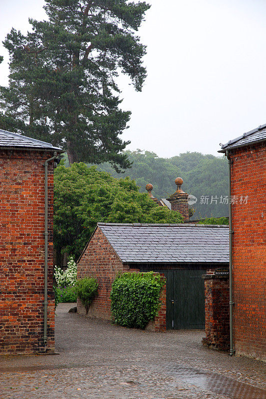 多雨的院子里