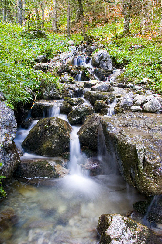 野外水域