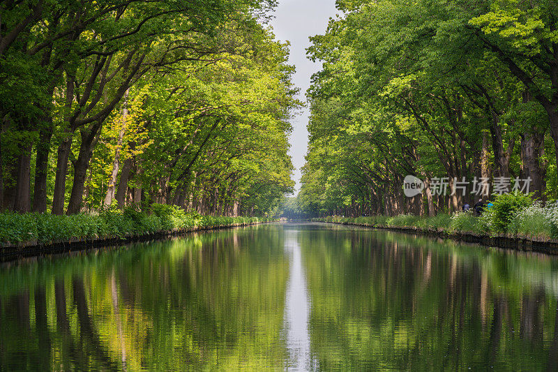 比利时人工运河流线的对称性观照。柔软的水线流经美丽的夏季森林与绿色的树木。