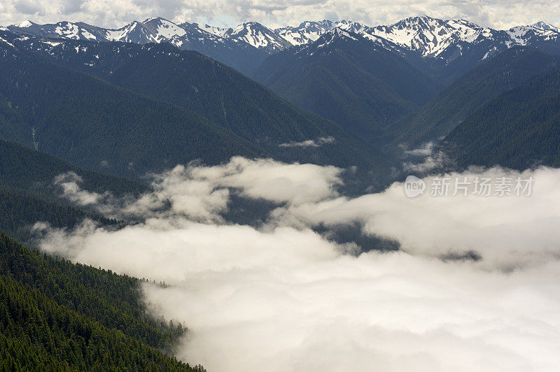 奥林匹克山飓风脊云奥林匹克国家公园华盛顿州