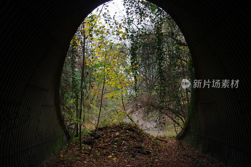 旧的隧道