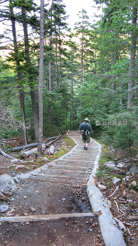 徒步者从Penobscot山下山，人造自然元素楼梯，阿卡迪亚