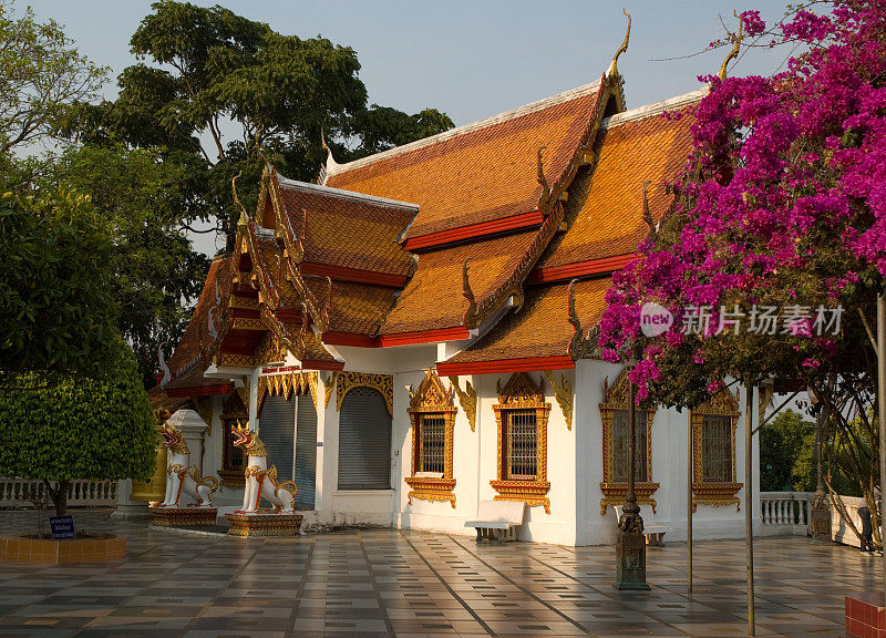 在土居素贴寺的地面上建造