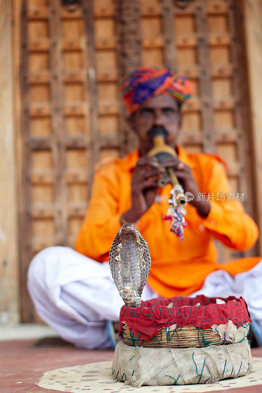 印度街道上的耍蛇人正在表演