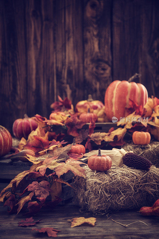 秋天的装饰用树叶和南瓜