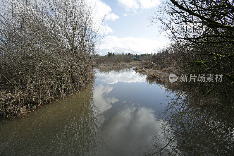 加拿大不列颠哥伦比亚省湿地上空的云，冬季洪水