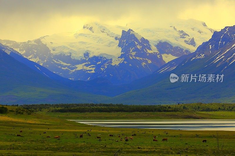 巴塔哥尼亚山脉和草原景观，Estancia附近Calafate，阿根廷