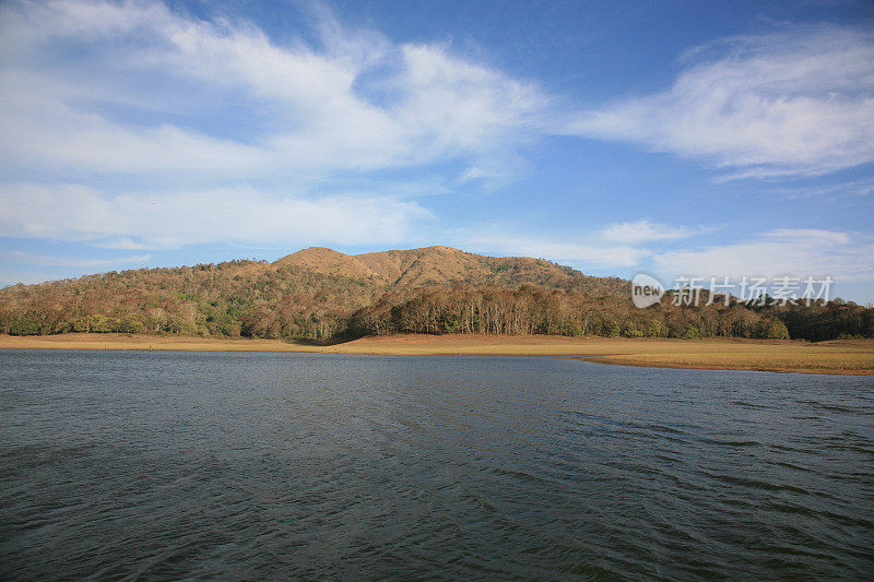 Periyar湖和野生动物保护区，Thekkady，喀拉拉邦，印度