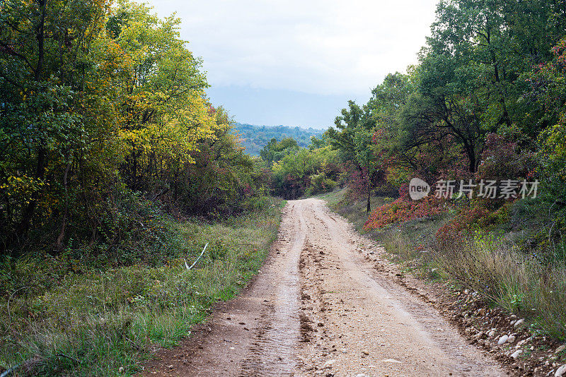 乡间小路