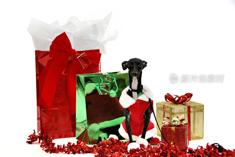 圣诞老人助手祝您圣诞快乐