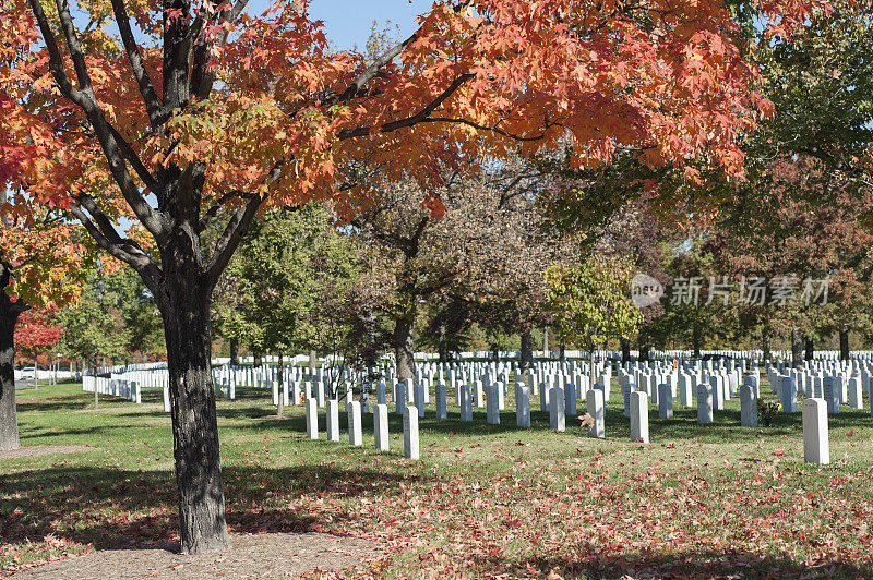 阿灵顿国家公墓五颜六色的树木