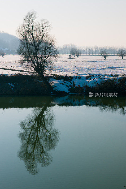 树倒映在田纳罗河，雪景，马西奥附近