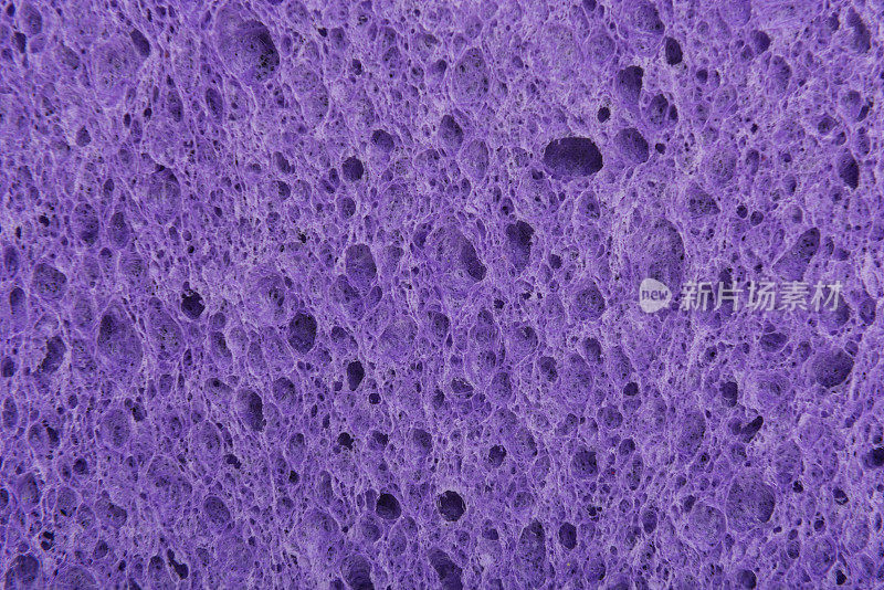 紫色的海绵表面
