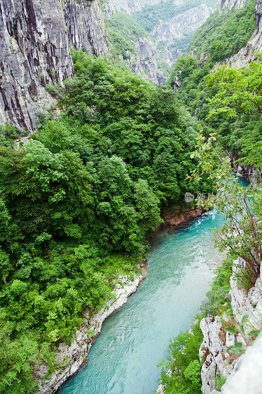 黑山的塔拉河峡谷