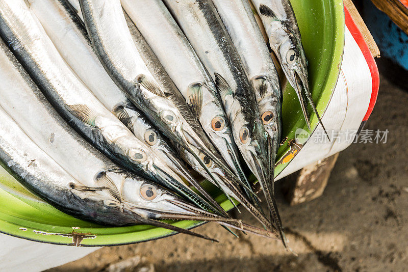 传统的印尼市场在巴厘岛出售新鲜的针鱼