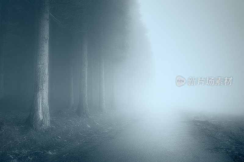 阴沉的风景和雾蒙蒙的道路