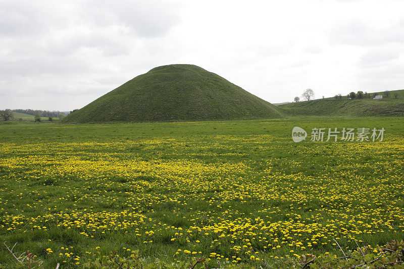 锡尔伯里山史前堆黄色蒲公英